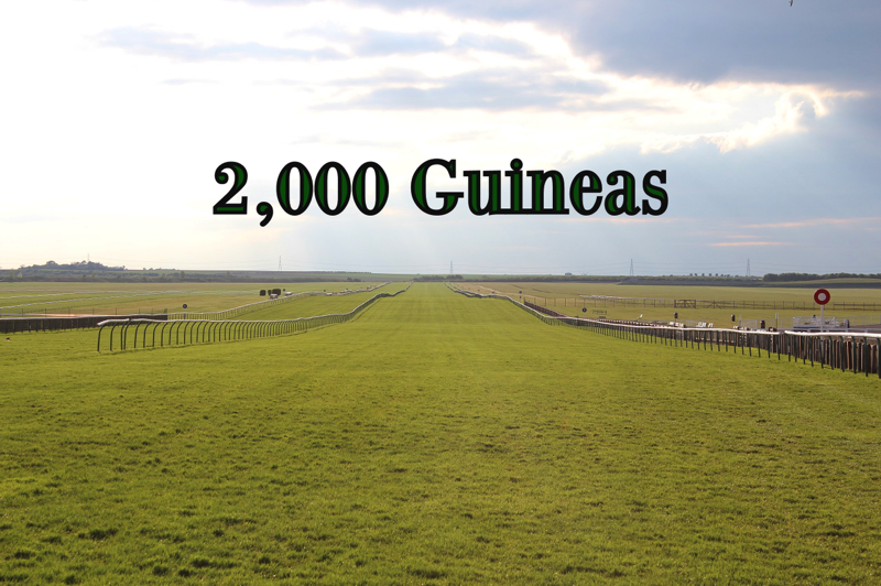 2,000 Guineas 2024: Results, Runners & Prize Money