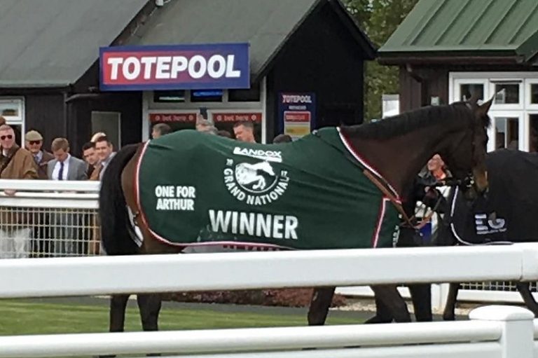 National Hunt Horses That Died in 2023 Including Mighty Potter, One