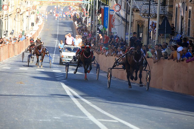 Malta’s Equestrian Legacy: A History of Horse Racing on the Island