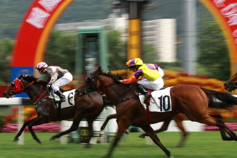 Aidan O’Brien Takes Aim at Hong Kong Cup - World of Horses