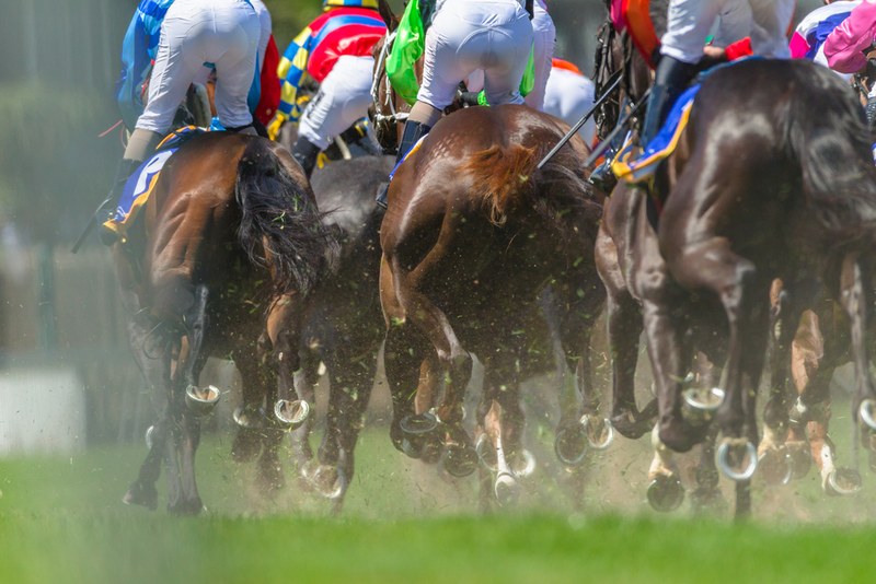 Irish Raider Hipop De Loire Tops Ebor Handicap 22