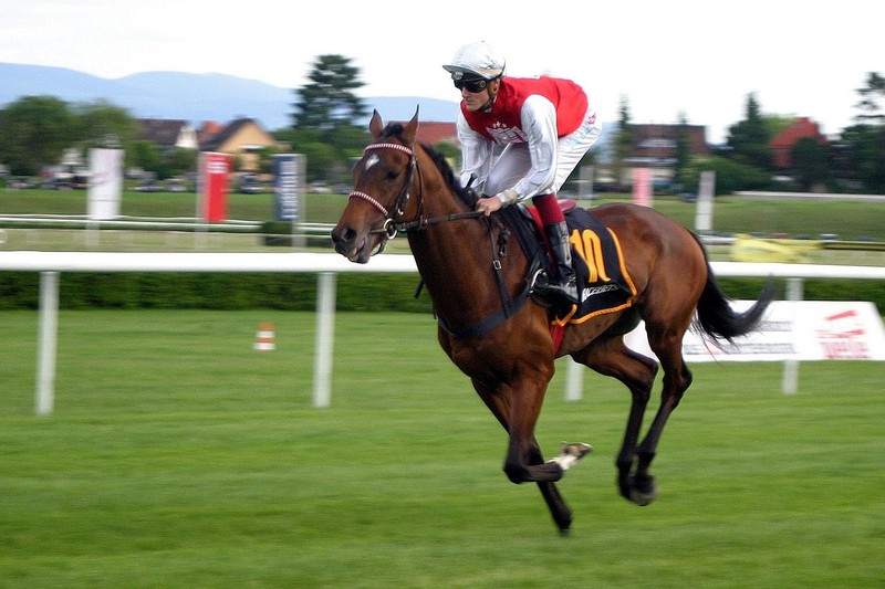 Jockey with Red Silks on Bay Horse