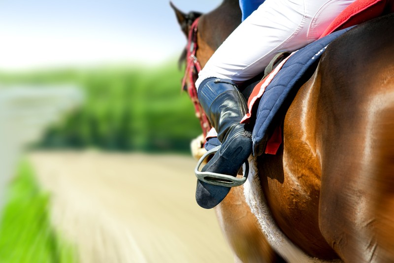 How to Find Safe and Licensed Betting Operators for Horse Racing