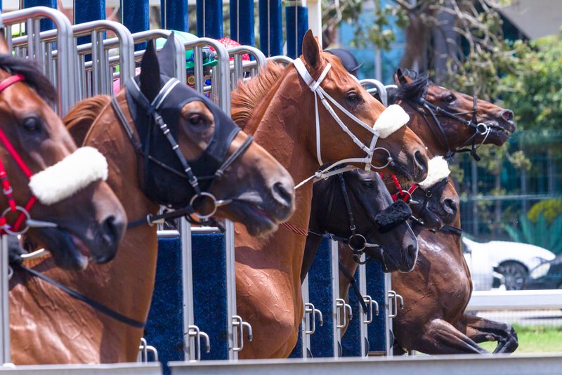 The Ultimate Guide to Horse Betting in 2025: On-Track vs. Online