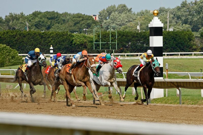 The Role of Machine Learning in Horse Racing Betting