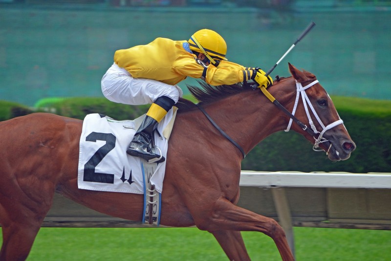 From Melbourne Cup to Royal Ascot: The World’s Most Iconic Races