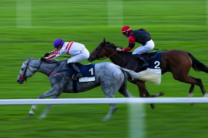 How to Find the Best Odds for Horse Betting
