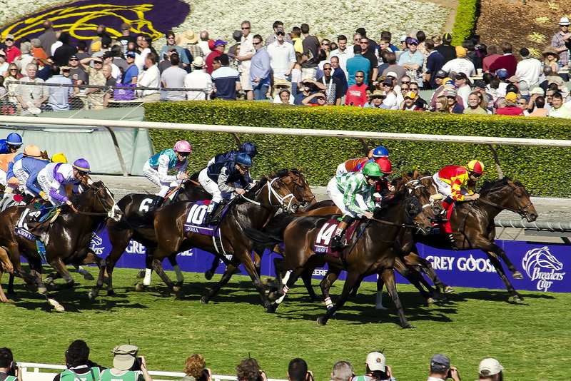 British Winners at the Breeders’ Cup