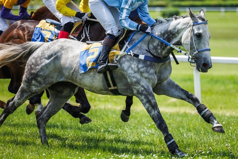 What Does TS, OR & RPR Mean In Horse Racing? – Explained