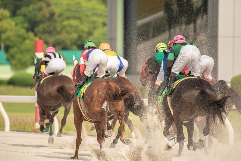 The Role of Technology in Modern Horse Racing Experiences