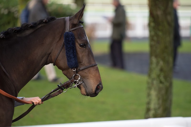 Chasing Titans Set for John Durkan Clash