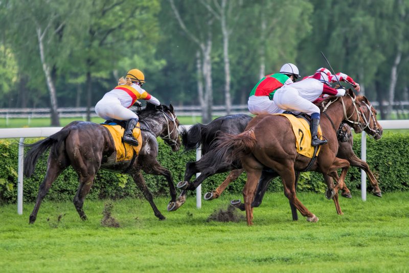 Horses Racing Against Rail
