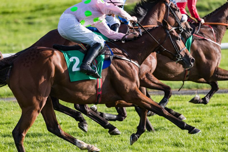 Jockey in Race with Pink Silks