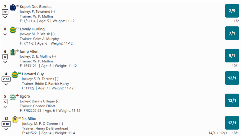 Pat Sheils Memorial Beginners Chase
