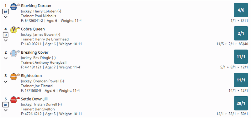 Rising Stars Novices' Chase 2025 Betting