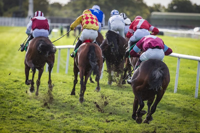 Field of Horses Running on Soft Ground