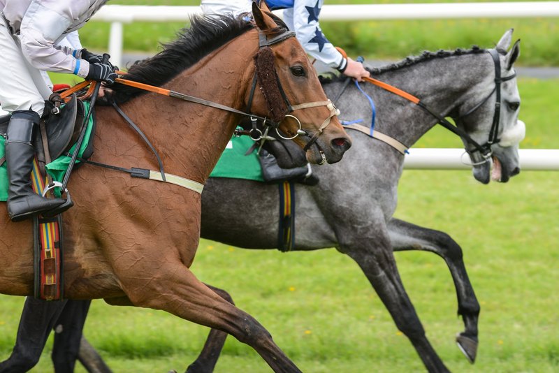 Future of the Turf: British Racing’s 2025 Strategy to Engage Younger Fans and the Next Workforce