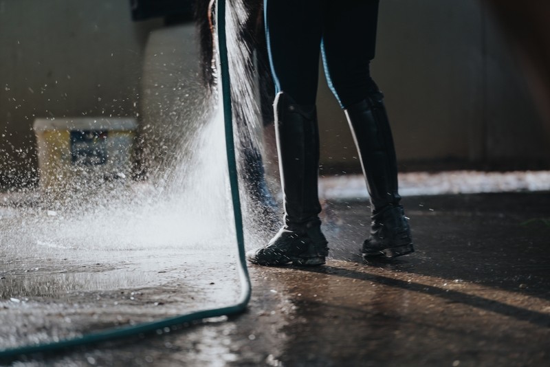 Horse Having Legs Washed in Stables
