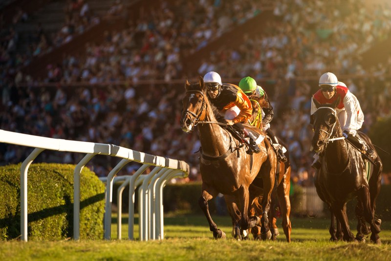Horses Rounding Bend Against Crowded Grandstand