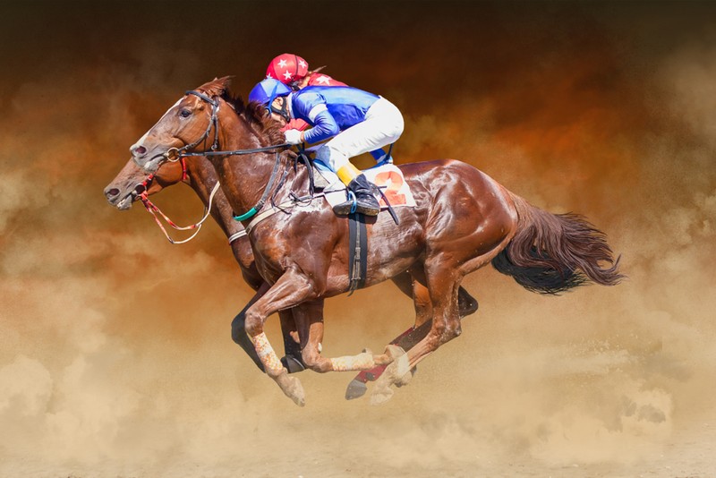 Cutting-Edge Horse Racing Experiences with Augmented Reality