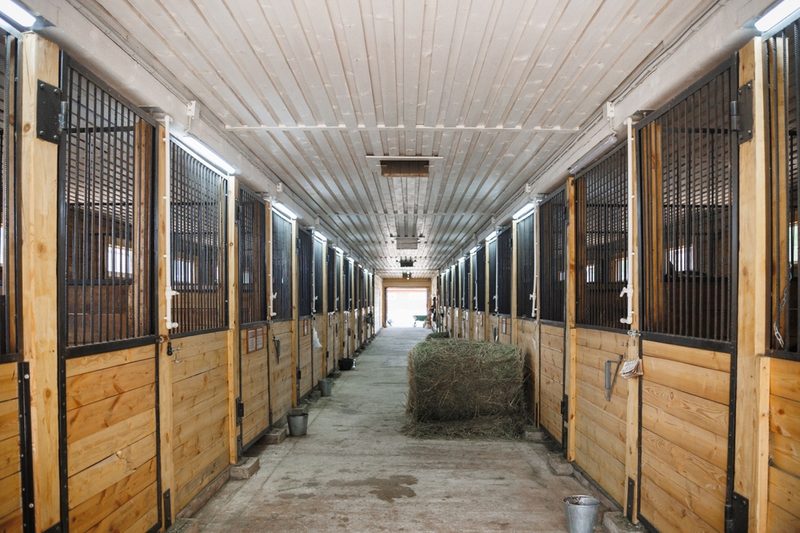 Wooden Stables Along Corridor