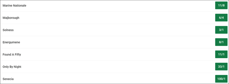 Dublin Chase 2026 Betting