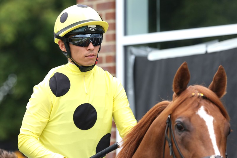 Sheikh Mohammed Obaid Al Maktoum’s Greatest Racehorses