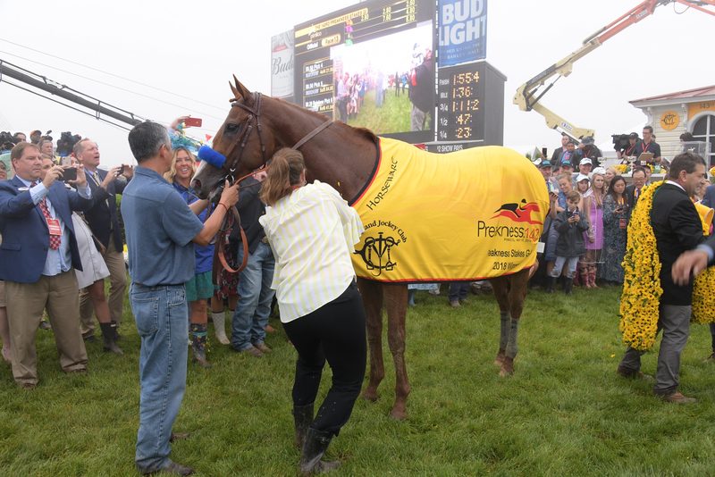 Justify: The Most Expensive Racehorse in the World