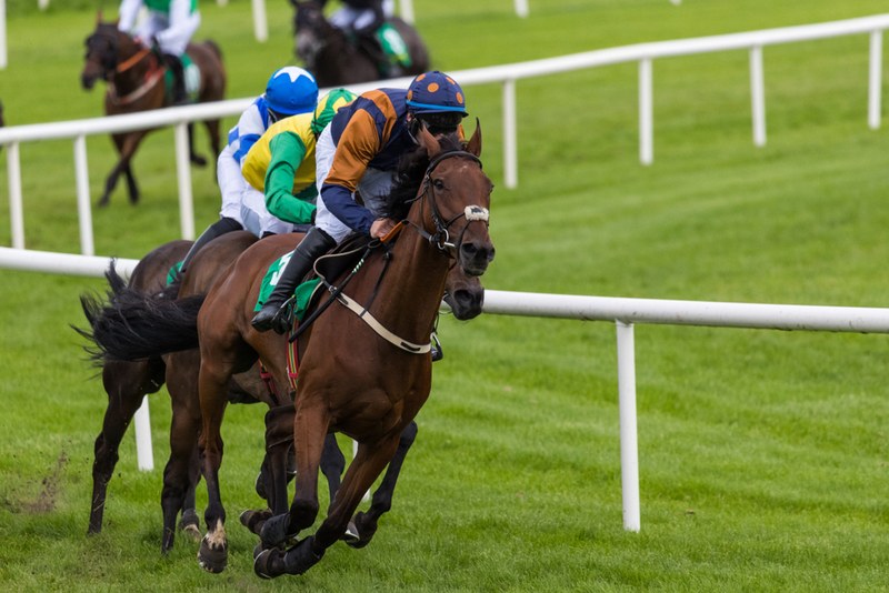 Three Horses Leading Race