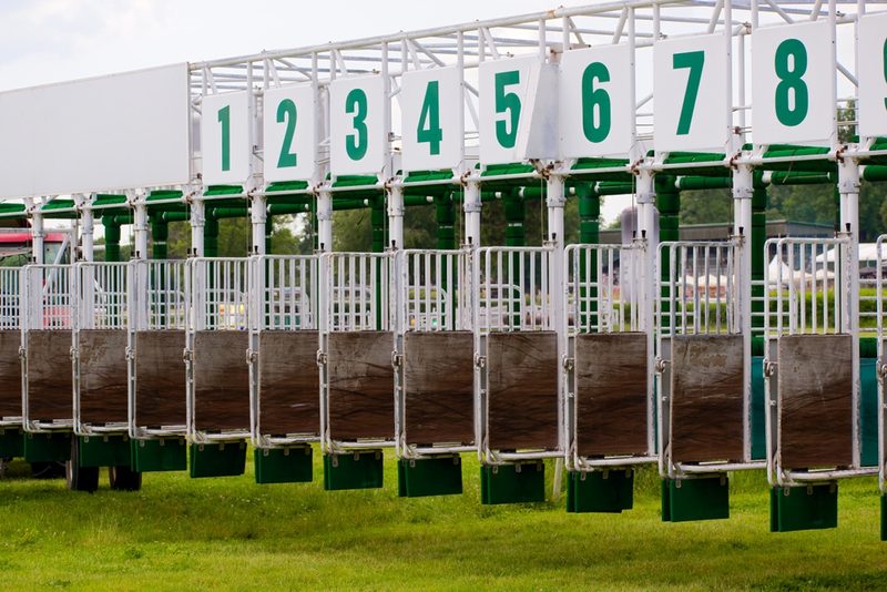 Horse Race Start Gate with Green Numbers