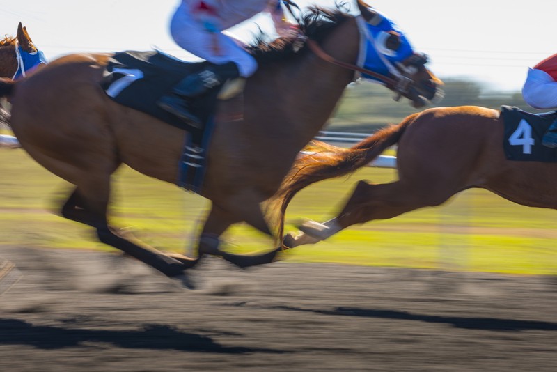 Motion Blurred Galloping Horses