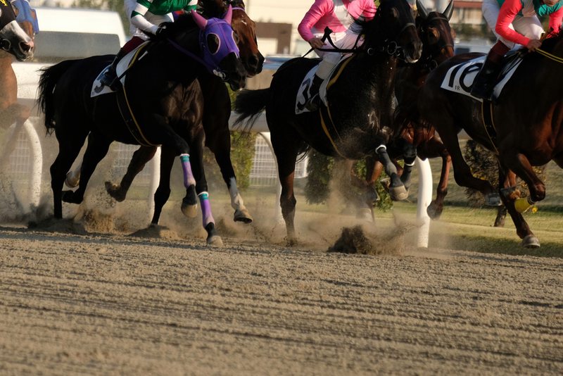 Dirt Race Field Close Up