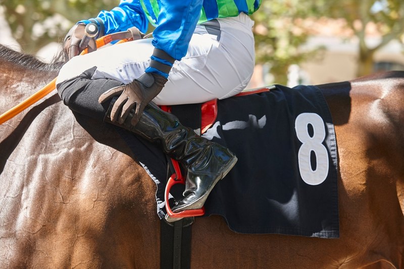 Jockey with Blue Silks on Horse Number 8