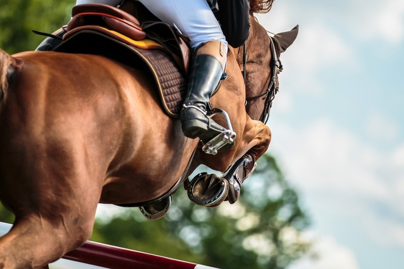 Show Jumping Horse Jumping Fence