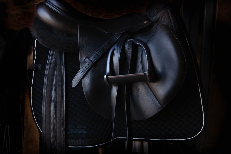 Black Saddle in Stable