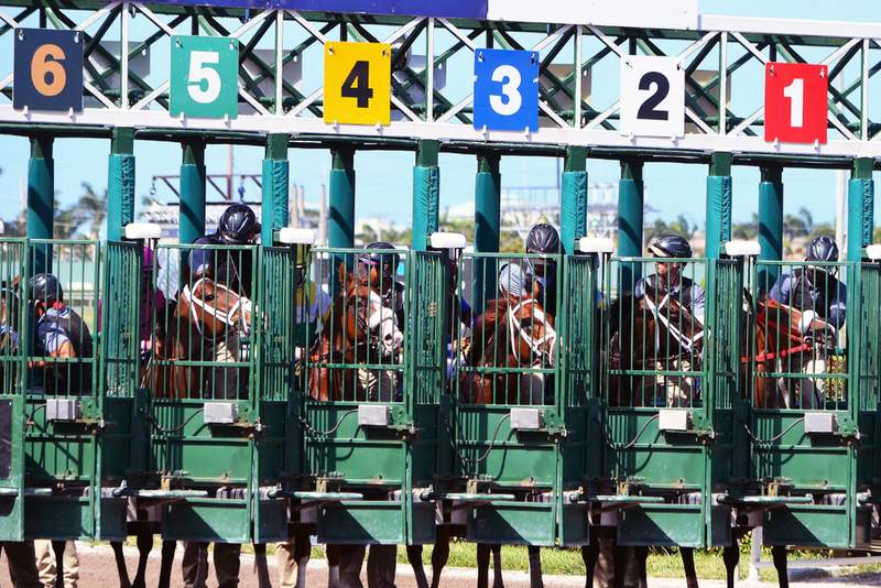 White Abarrio Lays Down a Marker for the Breeders’ Cup Classic