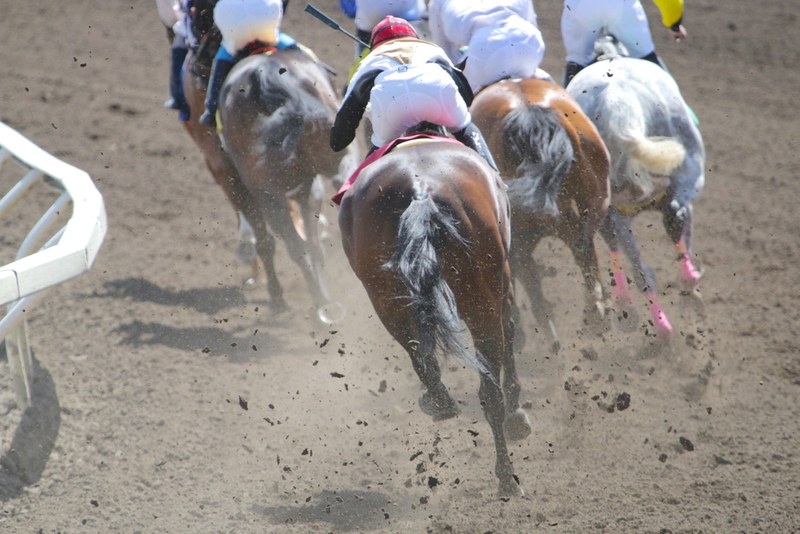 Rear View of Runners in Dirt Race