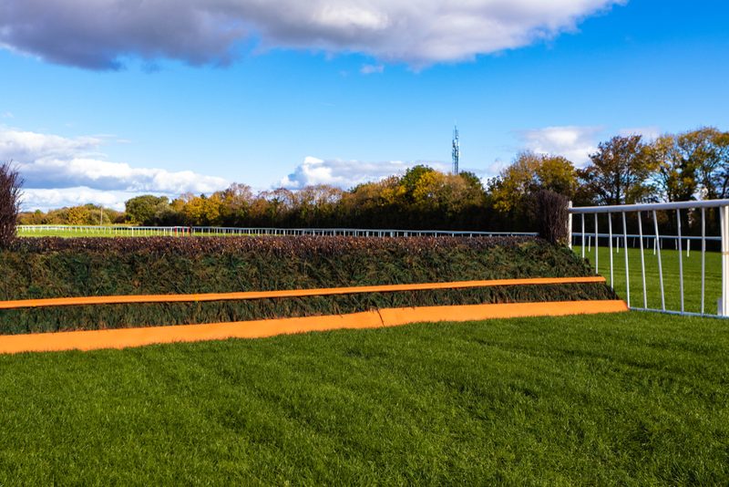 Edwardstone: Thanks for the Memories as Grade 1 Star Heads into Retirement