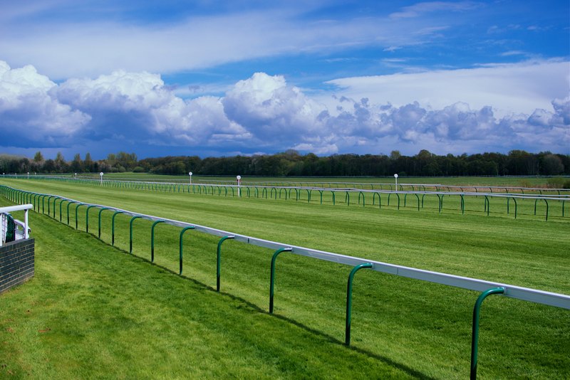 How Sporting Venues Create Memorable Experiences Beyond the Competition