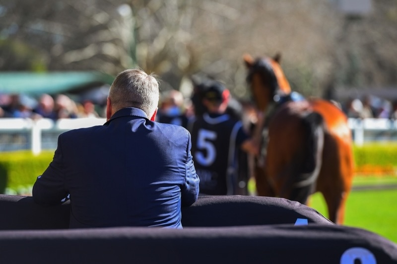 racing spectator with horse