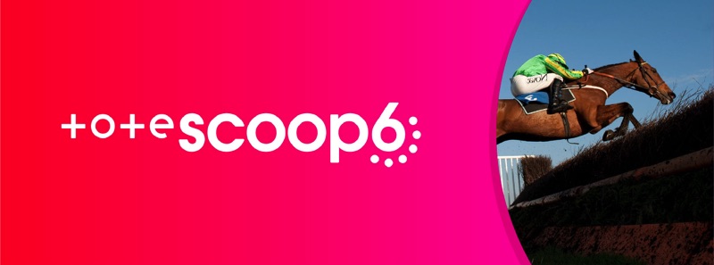 Tote Scoop6