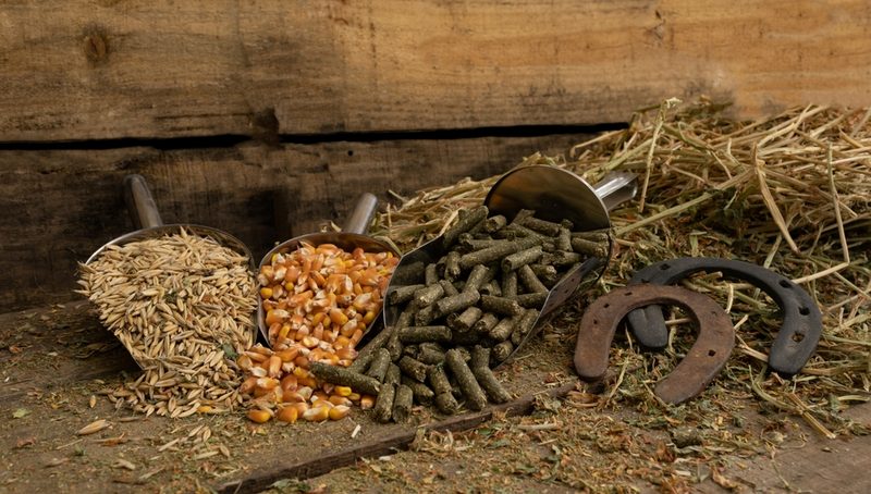 Horse Forage Ingredients