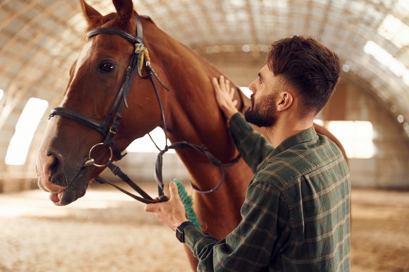 Man with Chestnut Horse in Indoor School
